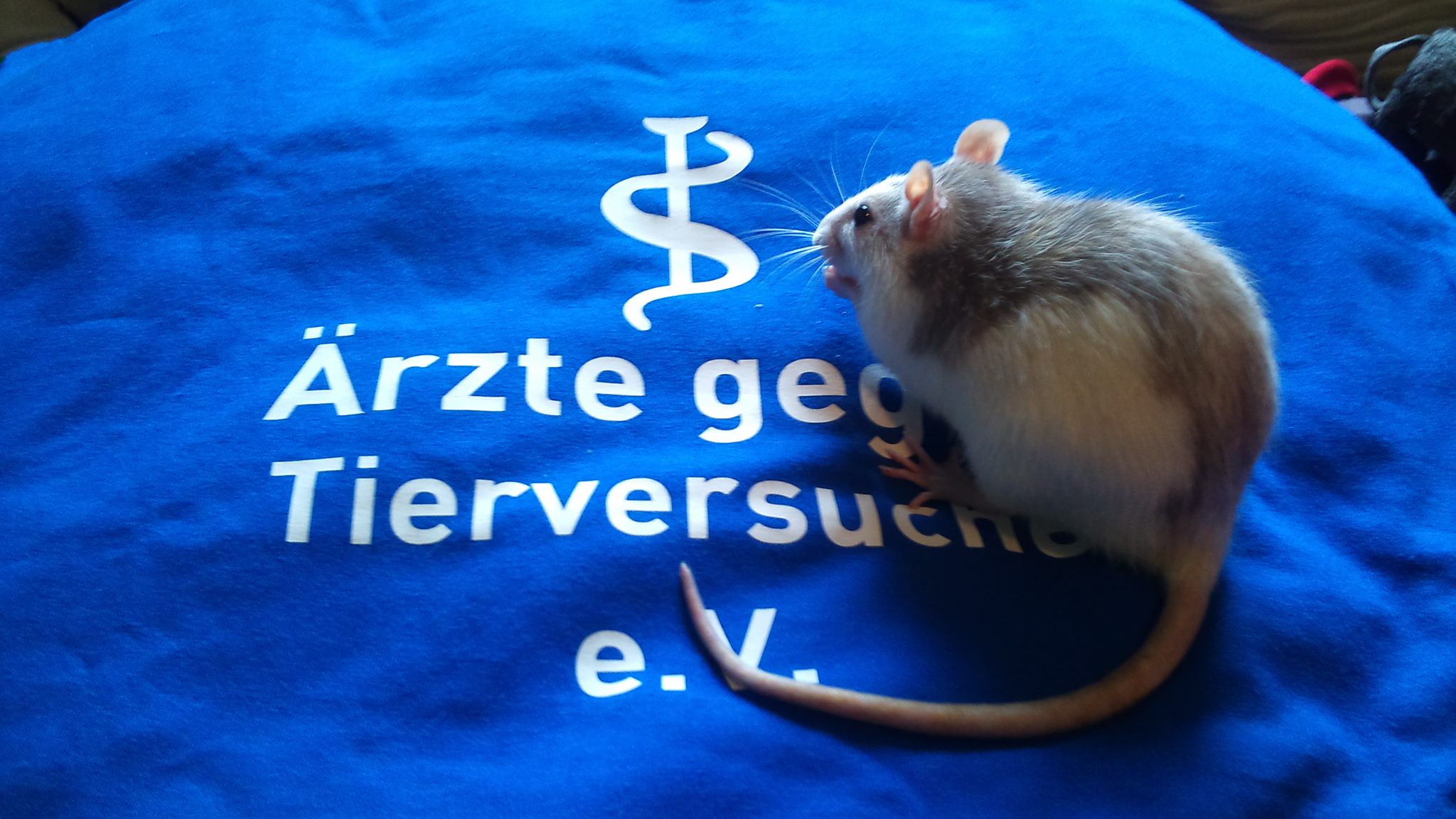 Ärzte gegen Tierversuche e.V.