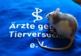 Ärzte gegen Tierversuche e.V.