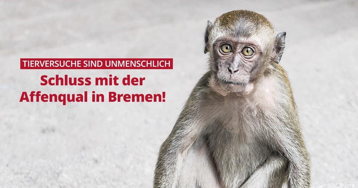 Aktionsbündnis gegen Tierversuche