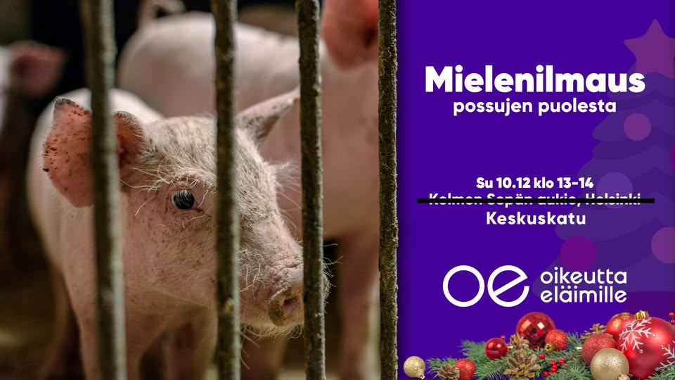 Oikeutta eläimille Helsinki