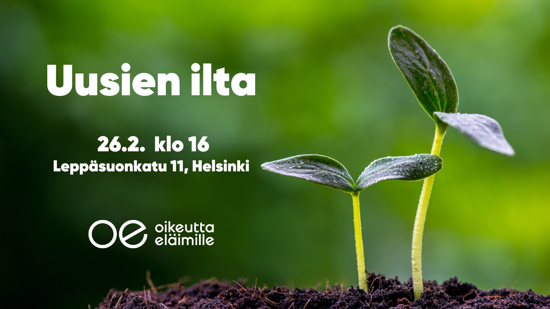 Oikeutta eläimille Helsinki