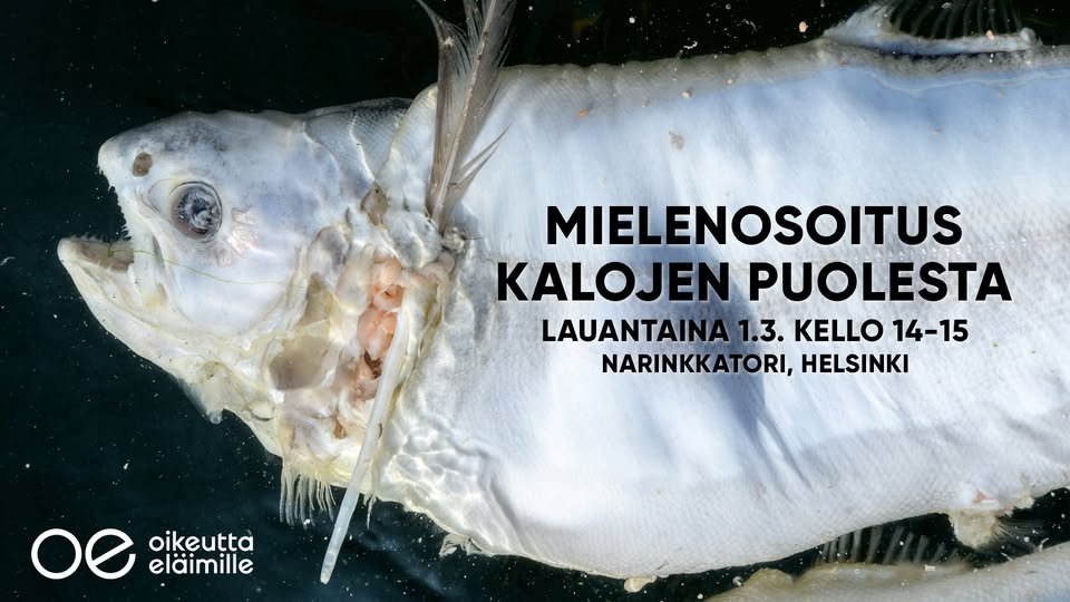 Oikeutta eläimille Helsinki