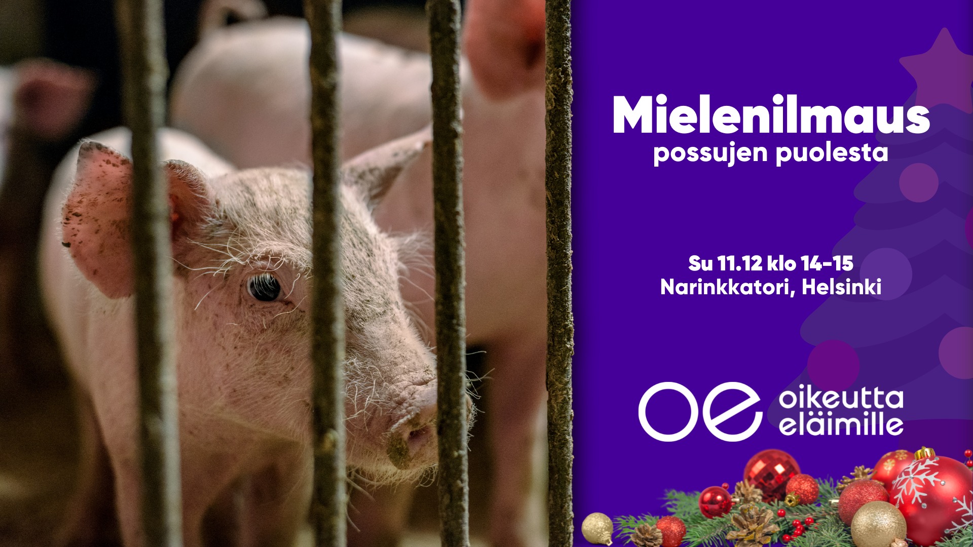 Oikeutta eläimille Helsinki