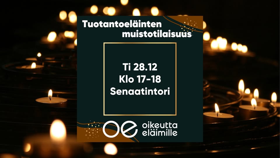 Oikeutta eläimille Helsinki