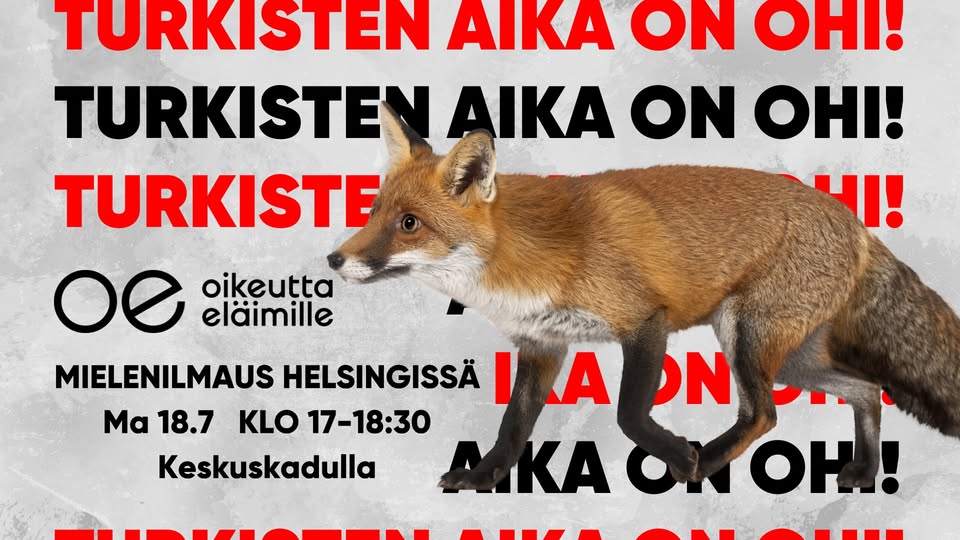 Oikeutta eläimille Helsinki