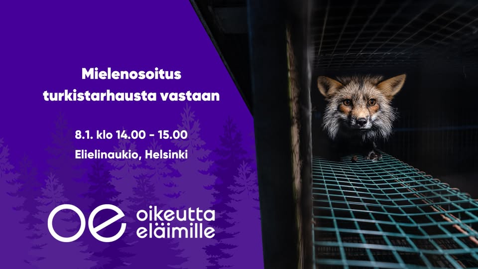 Oikeutta eläimille Helsinki