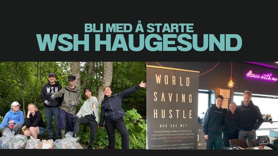 World Saving Hustle