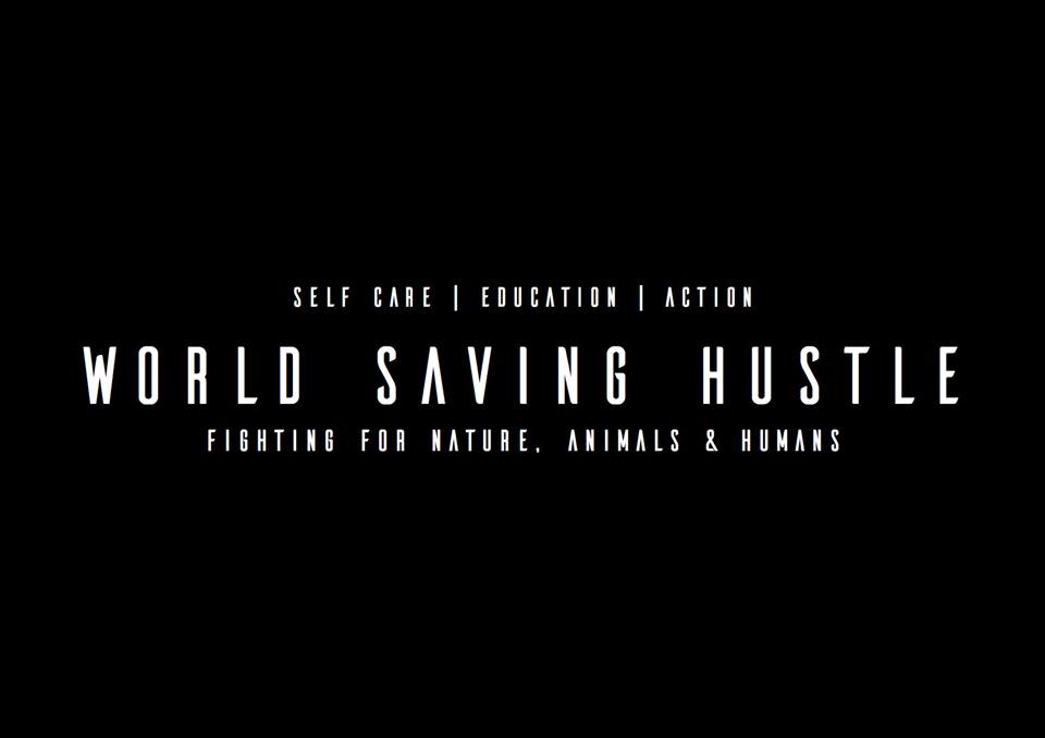 World Saving Hustle