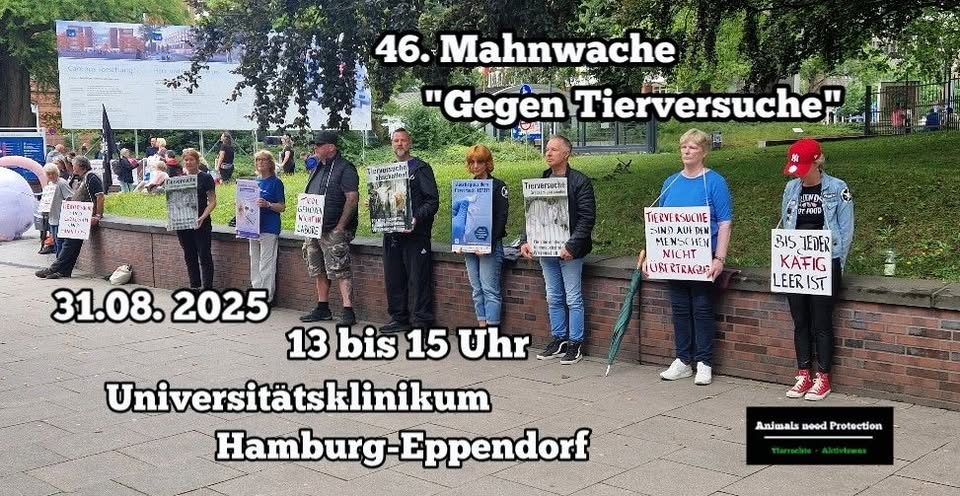 Animals Need Protection