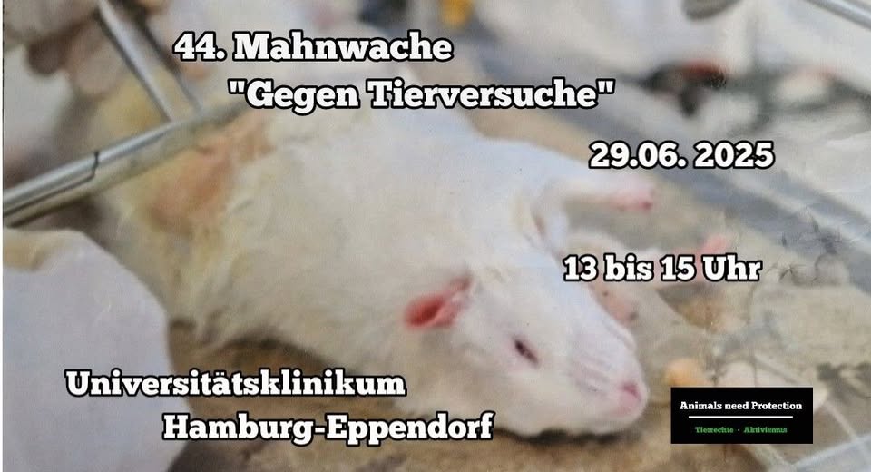 Animals Need Protection