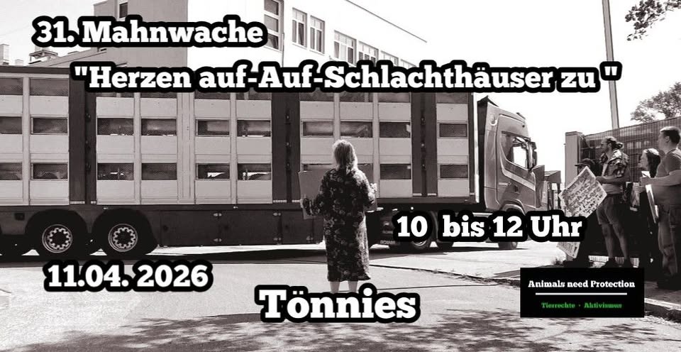 Animals Need Protection