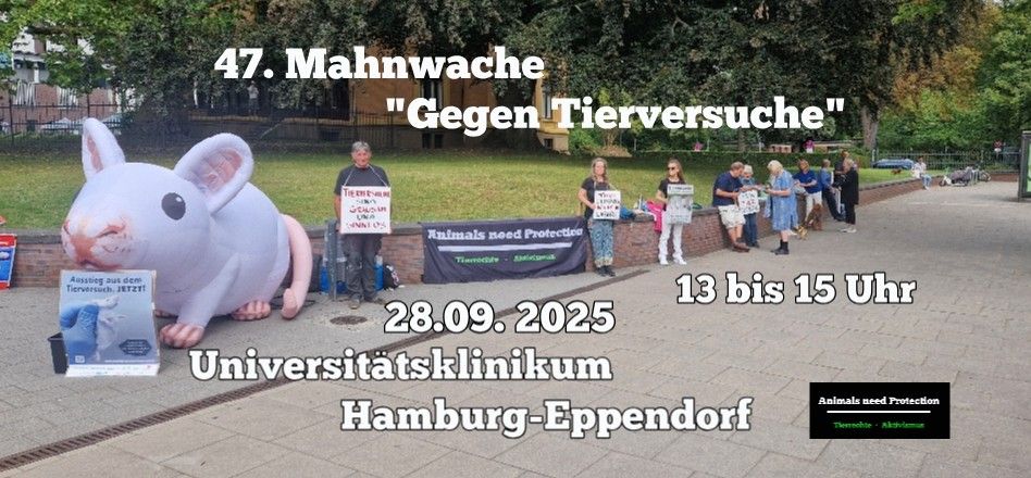 Animals Need Protection