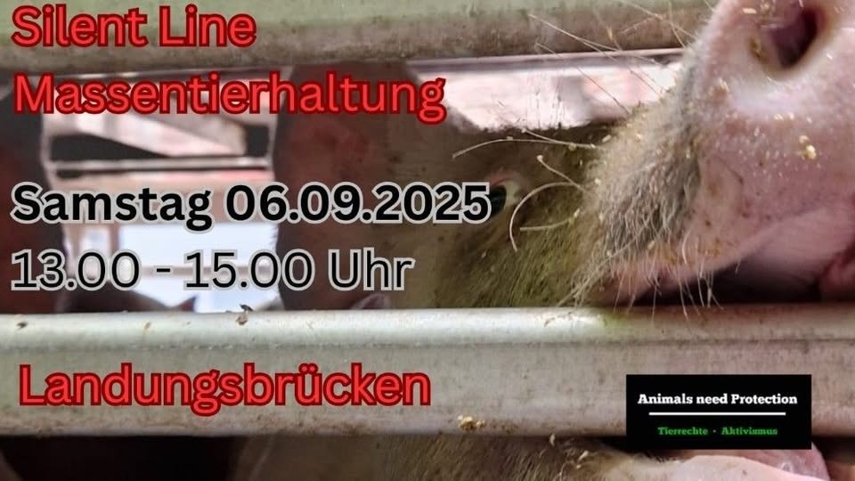 Animals Need Protection