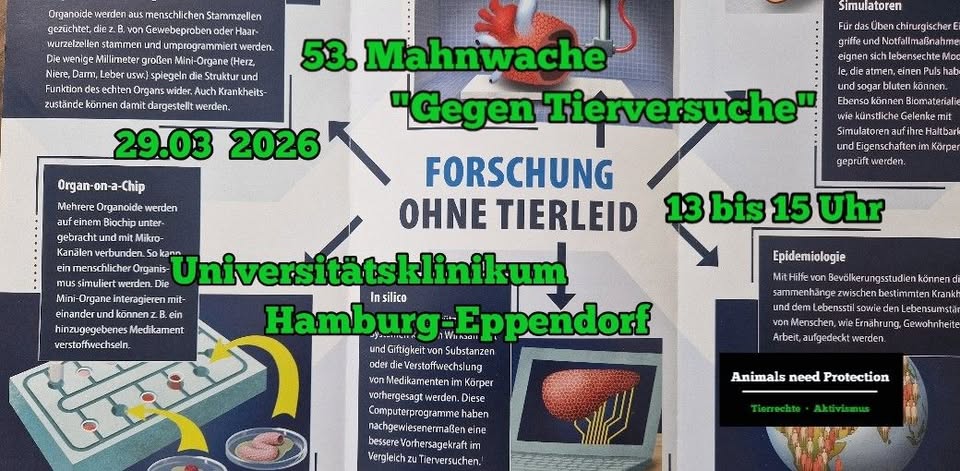 Animals Need Protection