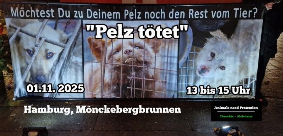 Animals Need Protection