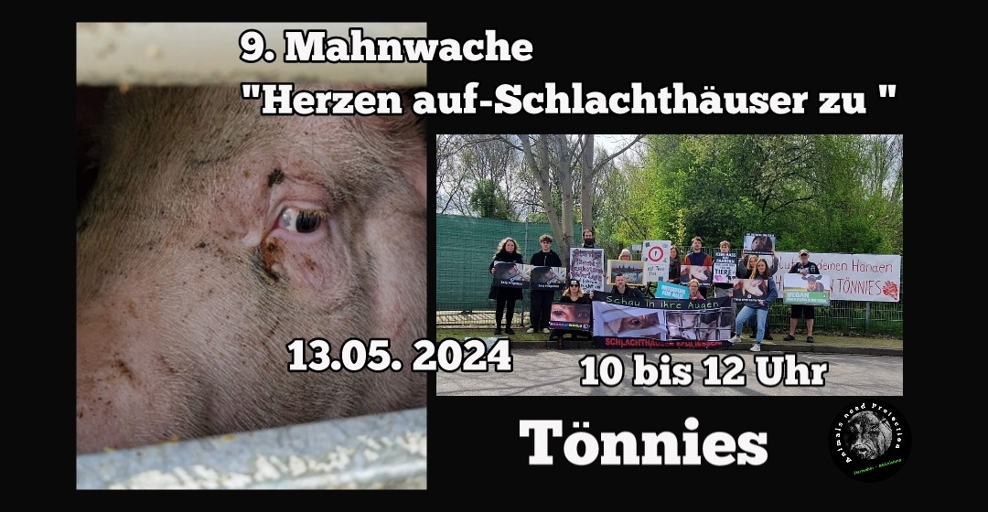 Animals Need Protection