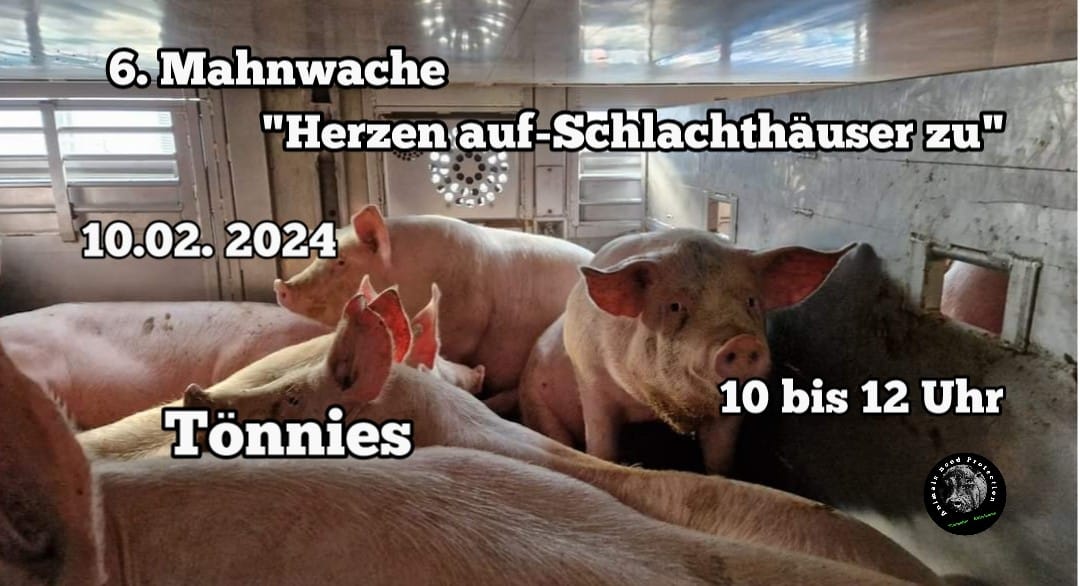 Animals Need Protection