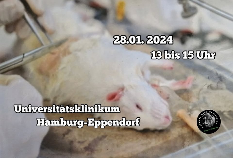 Animals Need Protection