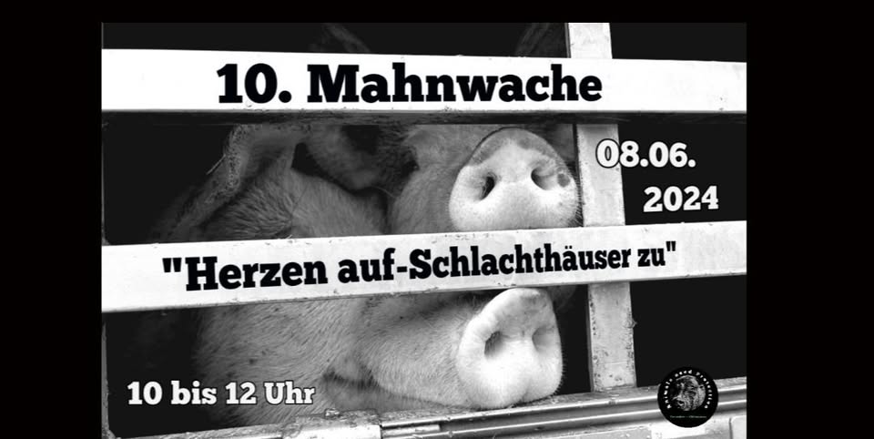 Animals Need Protection