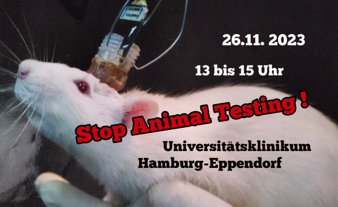Animals Need Protection