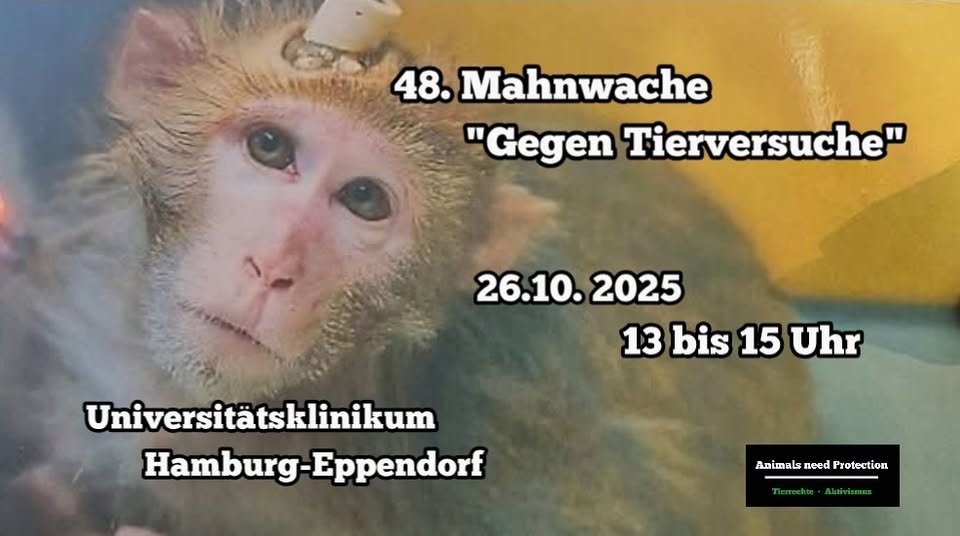 Animals Need Protection