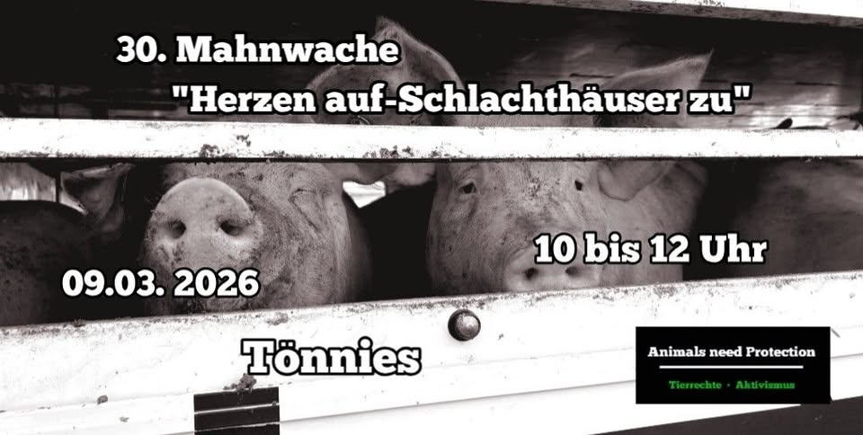 Animals Need Protection