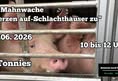 Animals Need Protection