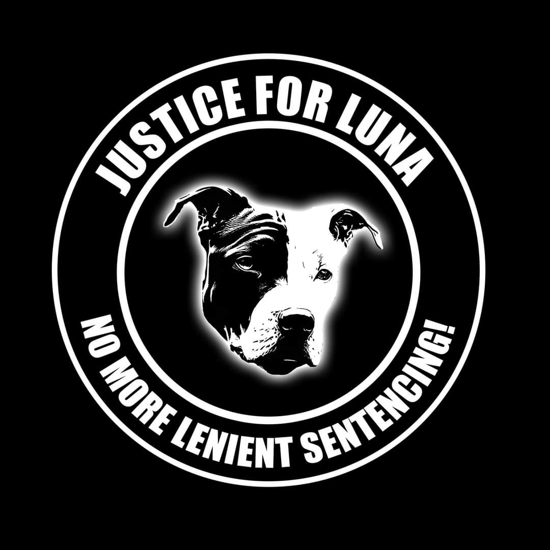 Justice For Animals