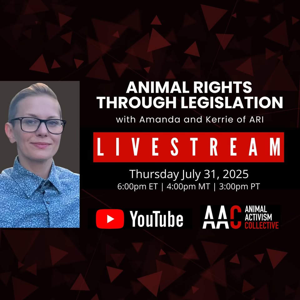 Animal Activism Collective