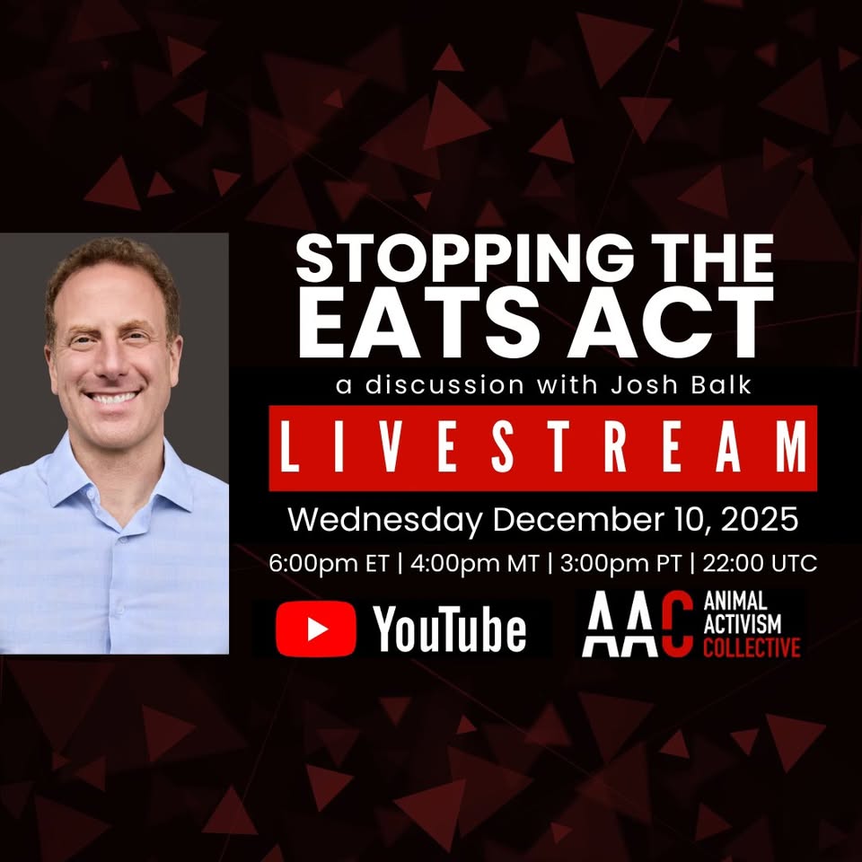 Animal Activism Collective