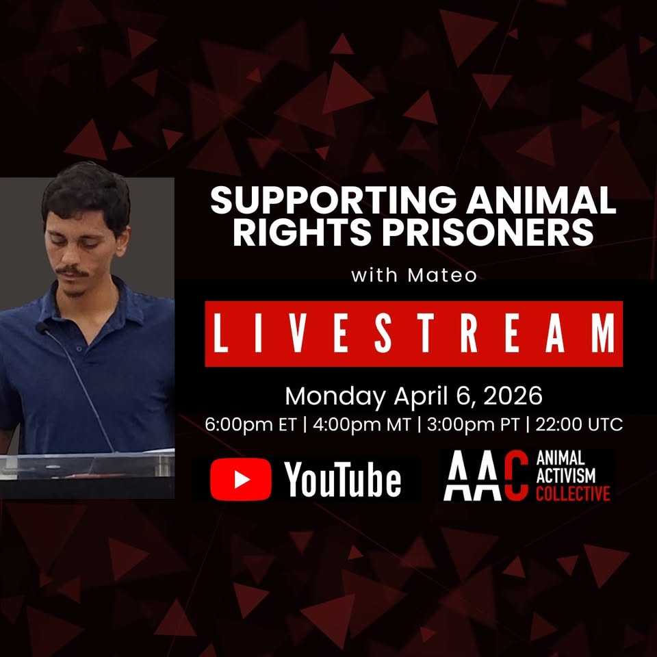 Animal Activism Collective