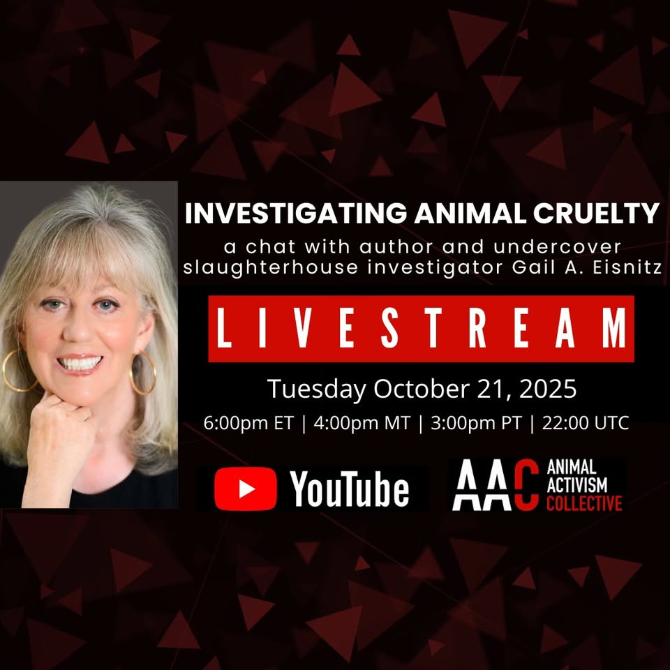 Animal Activism Collective