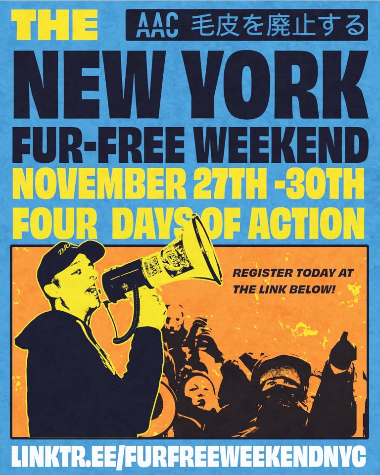 Animal Activism Collective