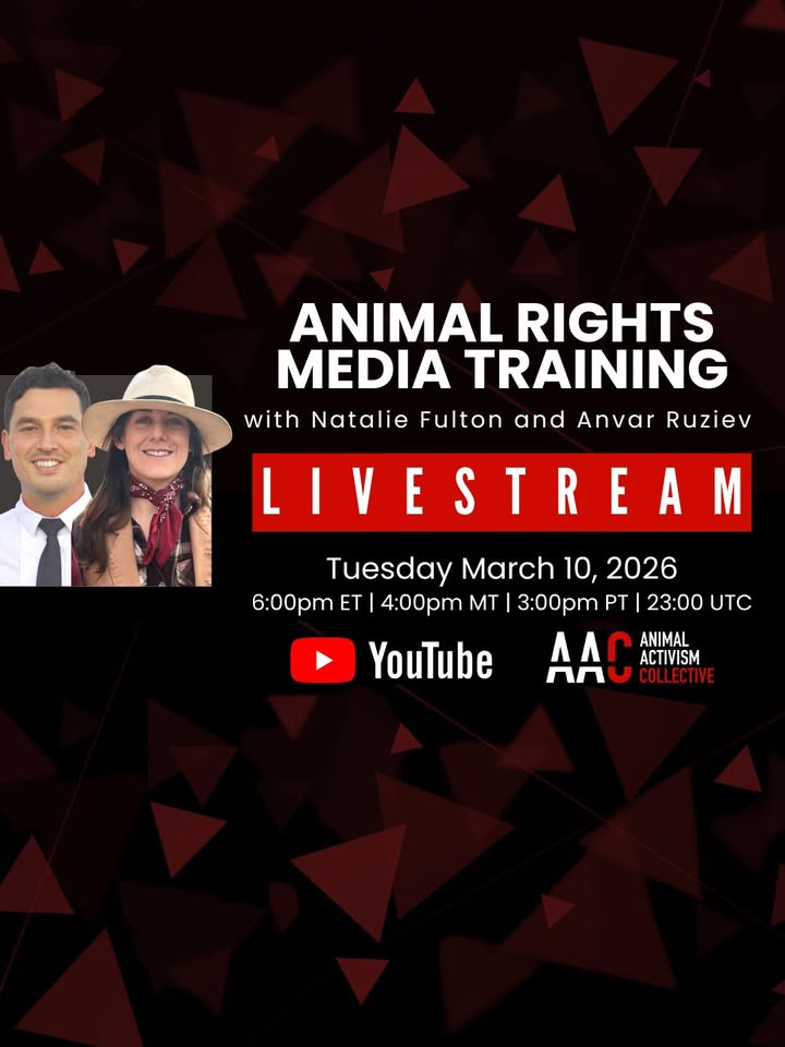 Animal Activism Collective