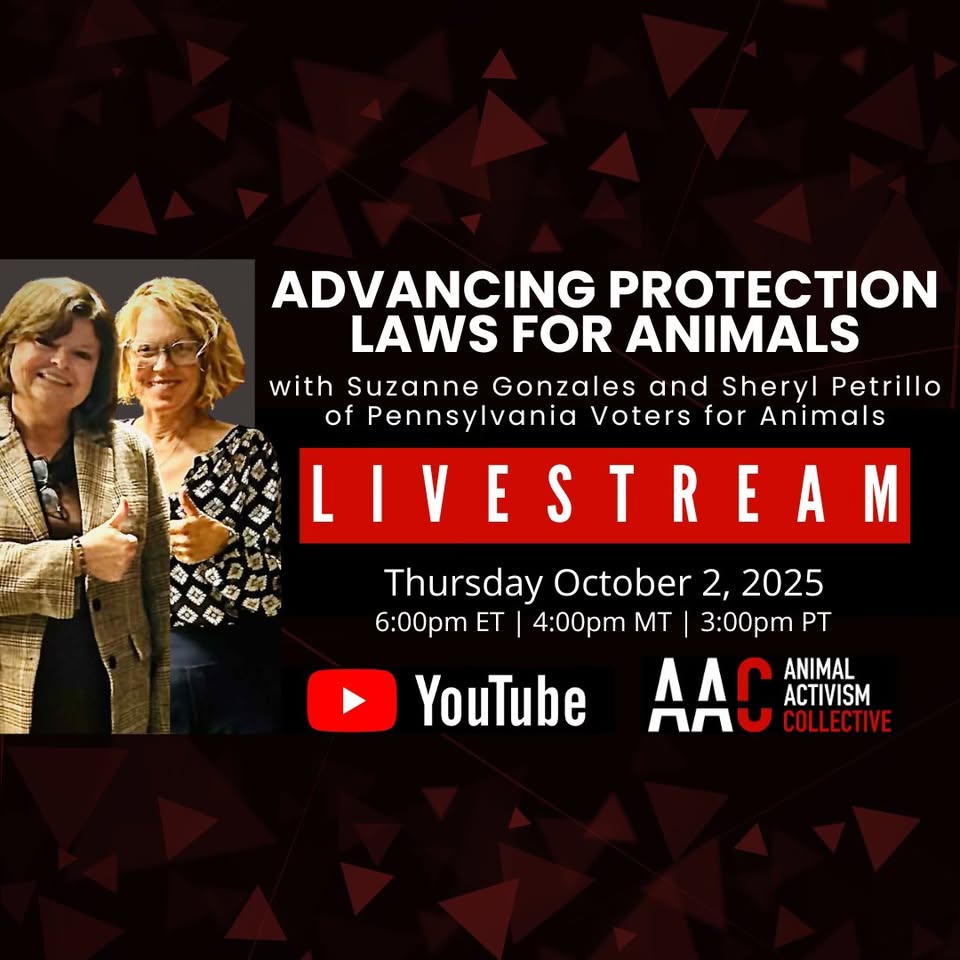 Animal Activism Collective