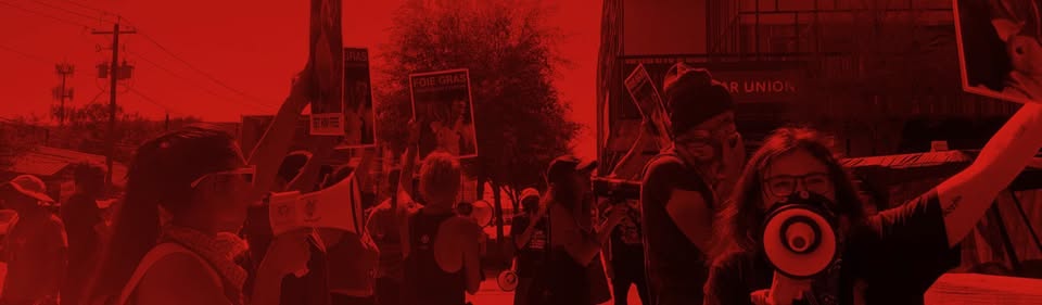 Animal Activism Collective
