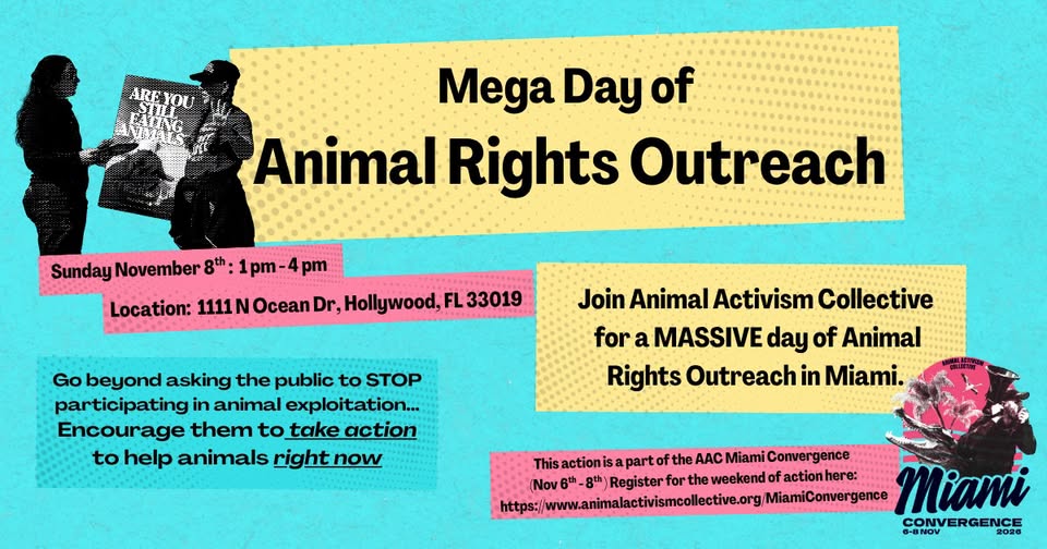 Animal Activism Collective