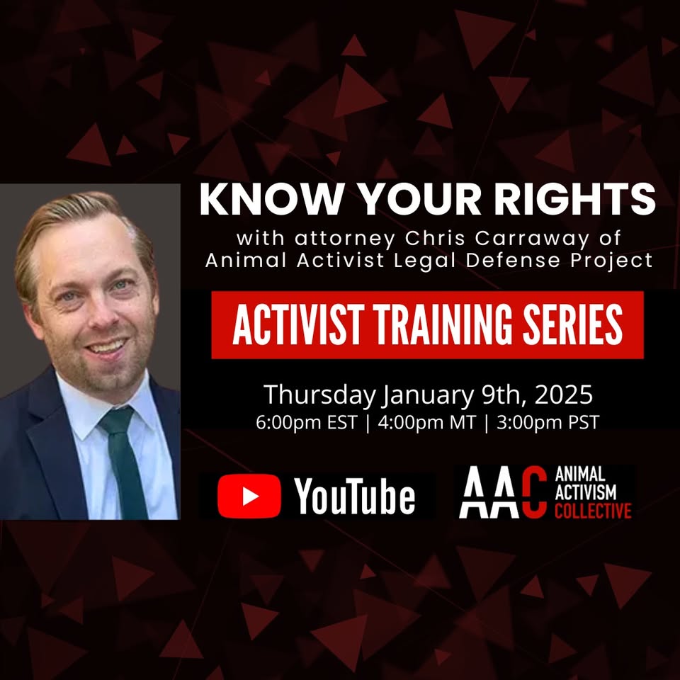 Animal Activism Collective