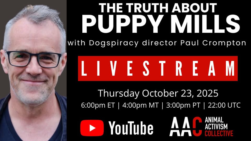 Animal Activism Collective