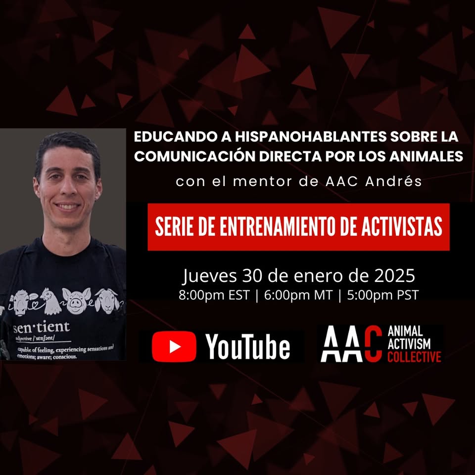 Animal Activism Collective