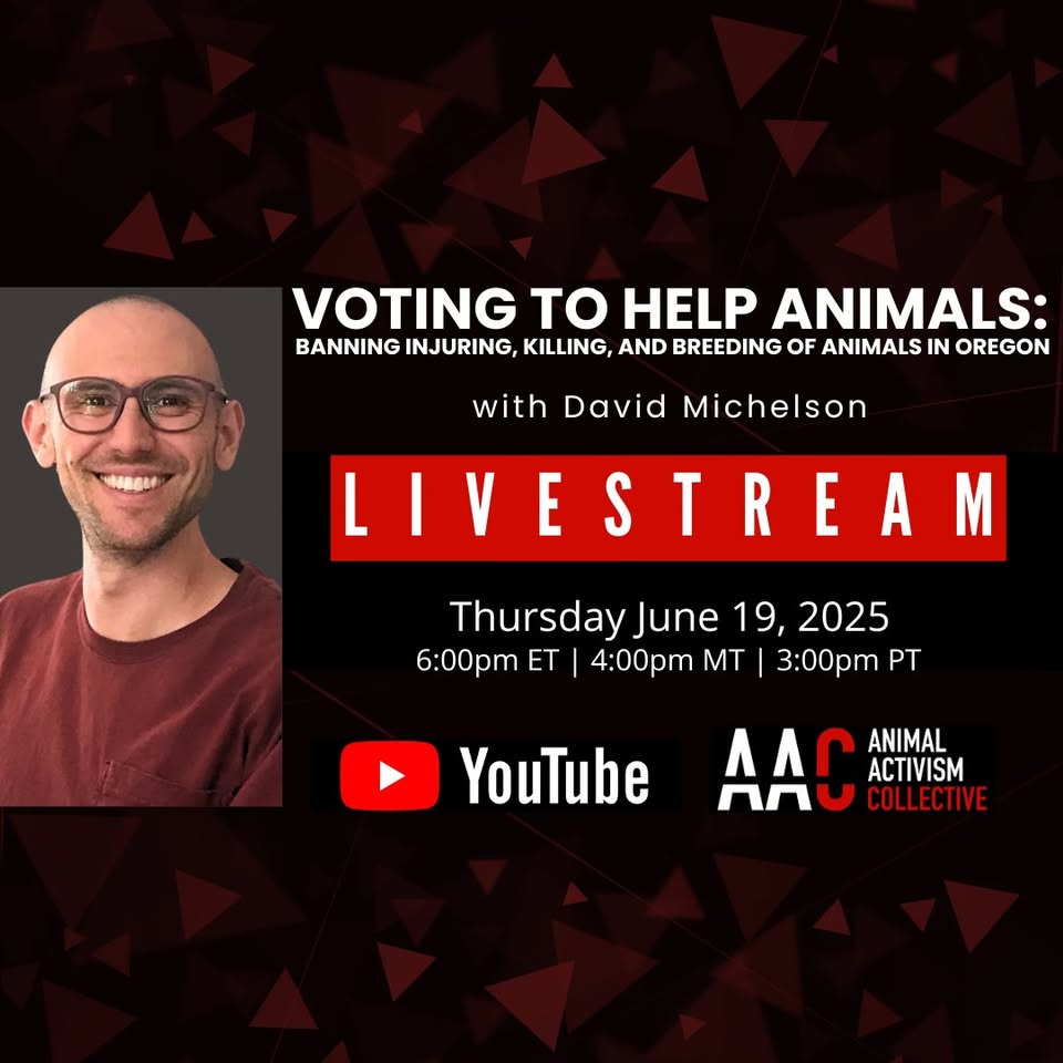 Animal Activism Collective