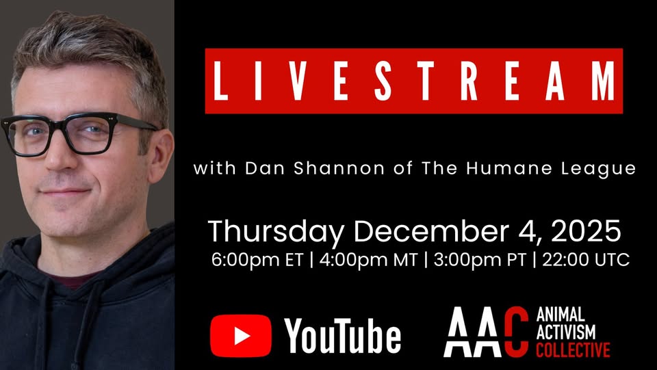 Animal Activism Collective