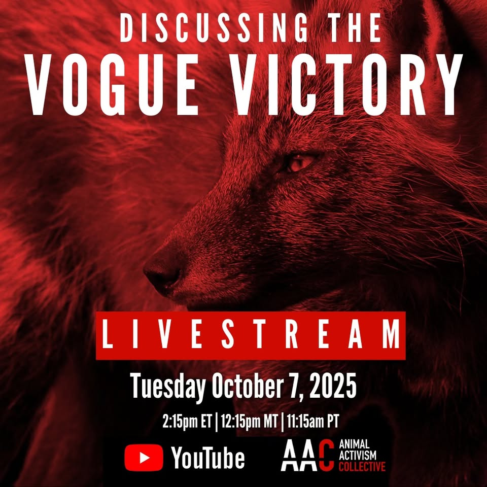 Animal Activism Collective