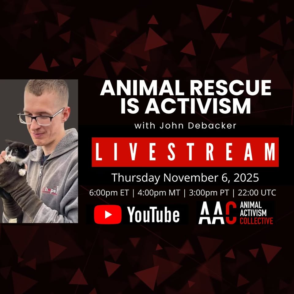 Animal Activism Collective