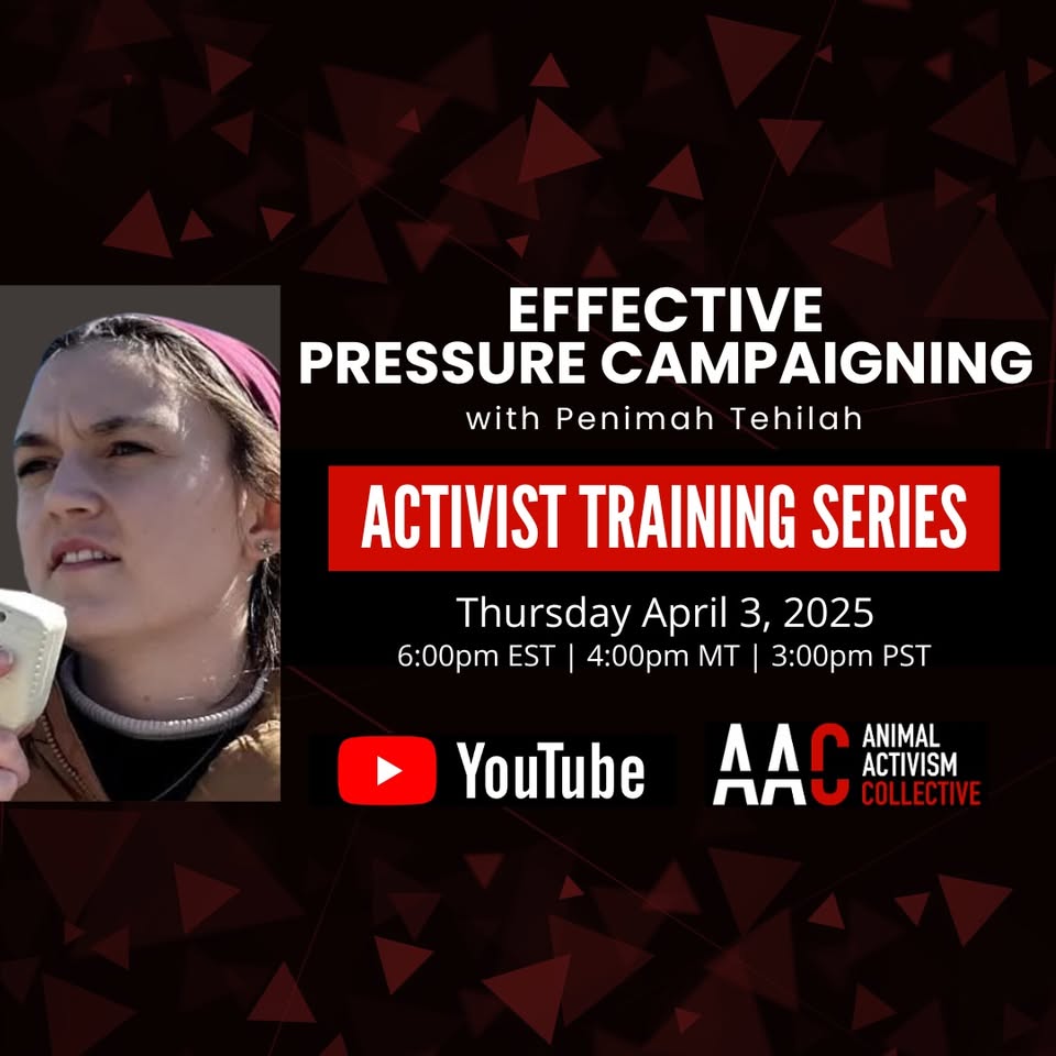 Animal Activism Collective