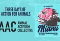 Animal Activism Collective