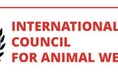 Animal Activism Collective