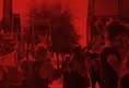 Animal Activism Collective