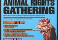 Animal Activism Collective