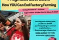 Animal Activism Collective